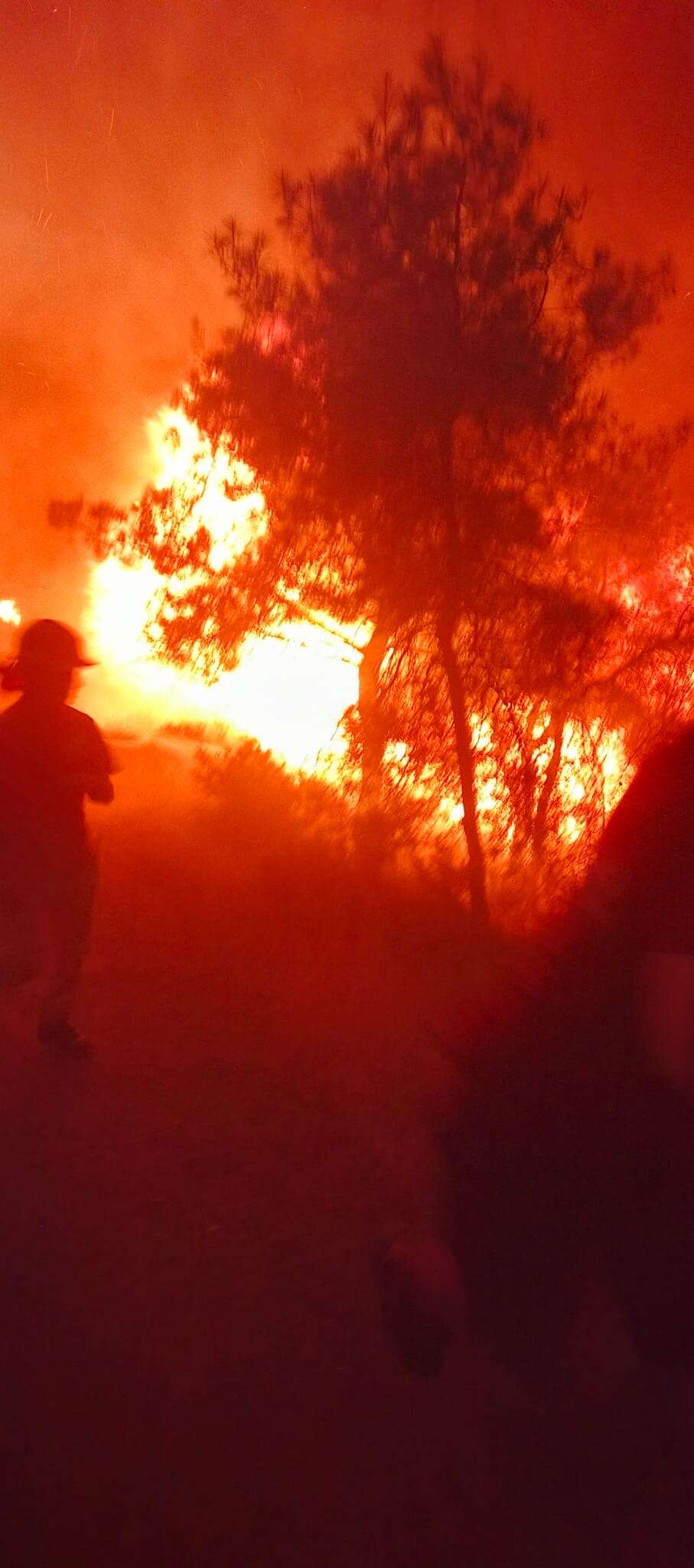 Fethiye’de Orman Yangını, Alevlerle Mücadele Sürüyor 3