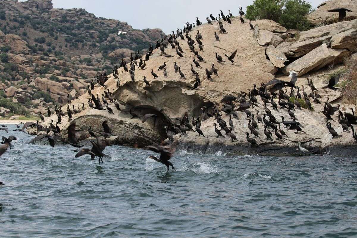 Latmos İçin Milli Park Çağrısı: “Bu Dağın Kurtarılması Hayati Önem Taşıyor” 2