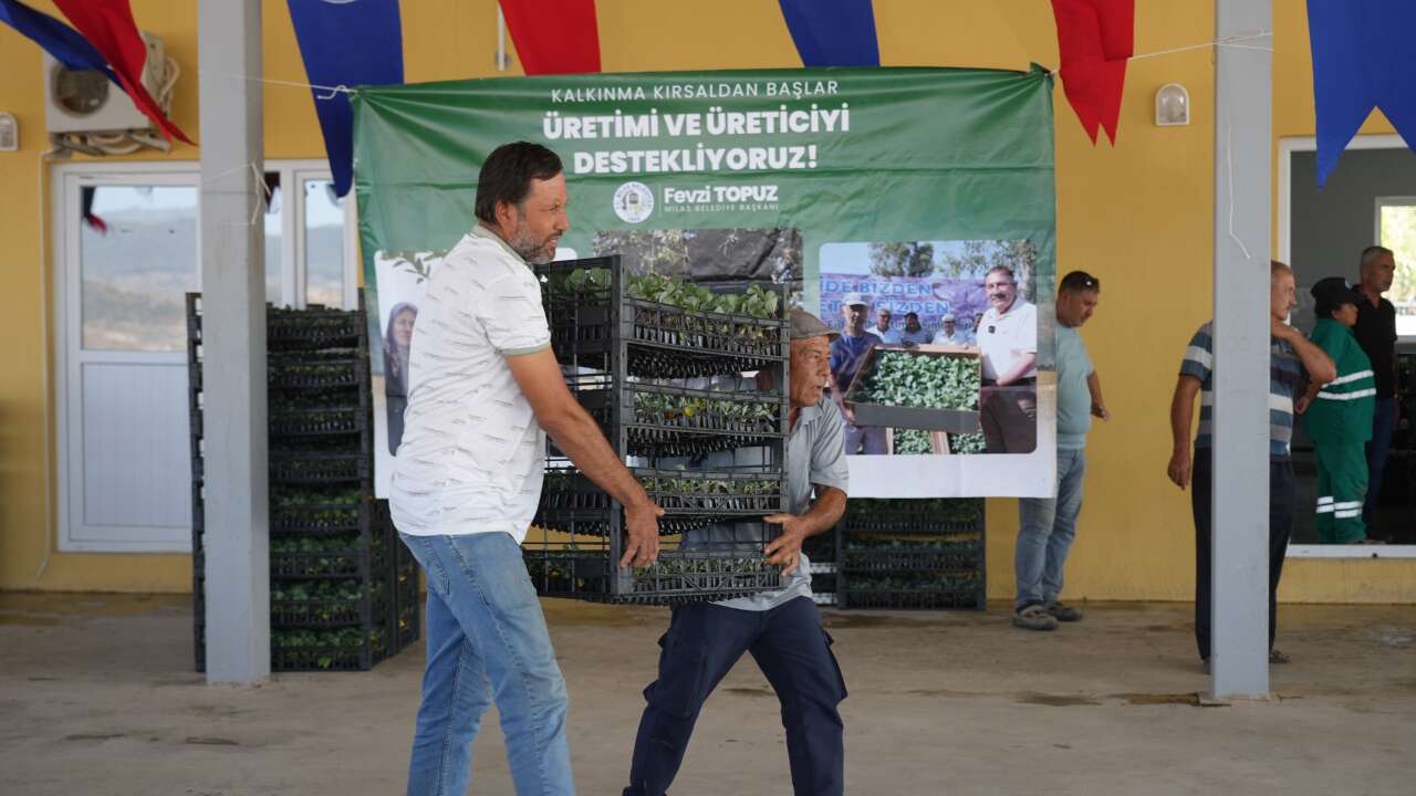 Muğla’da Çiftçiye Büyük Destek: 170 Bin 699 Fide Toprakla Buluşacak 1