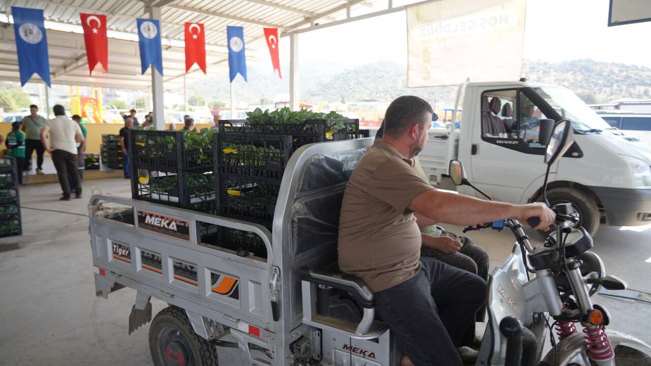 Muğla’da Çiftçiye Büyük Destek: 170 Bin 699 Fide Toprakla Buluşacak 2