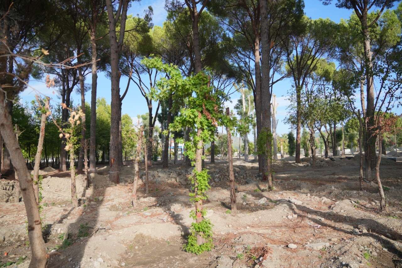 Dalaman Kent Park’ta Ağaç Kesme  ve Betonlaşma İddialarına Başkan Durmuş’tan Yanıt 4