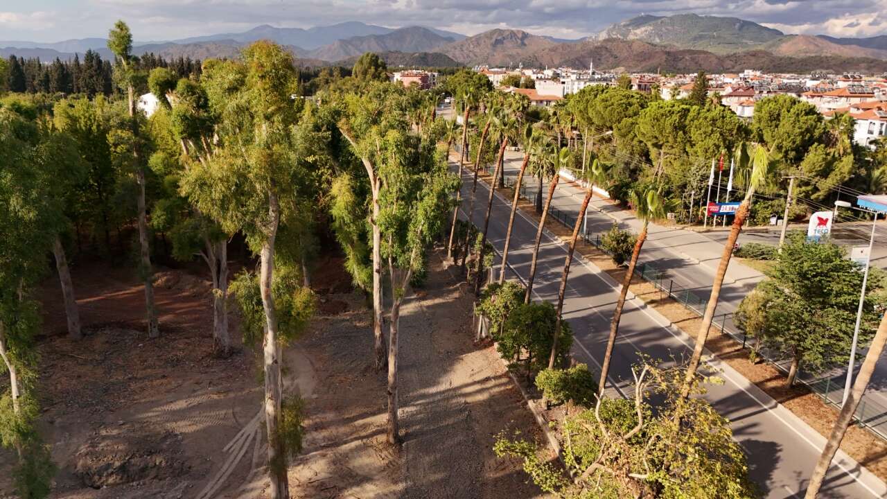 Dalaman Kent Park’ta Ağaç Kesme  ve Betonlaşma İddialarına Başkan Durmuş’tan Yanıt 8