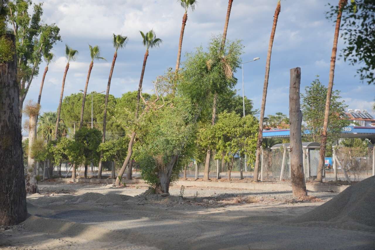 Dalaman Kent Park’ta Ağaç Kesme  ve Betonlaşma İddialarına Başkan Durmuş’tan Yanıt 3