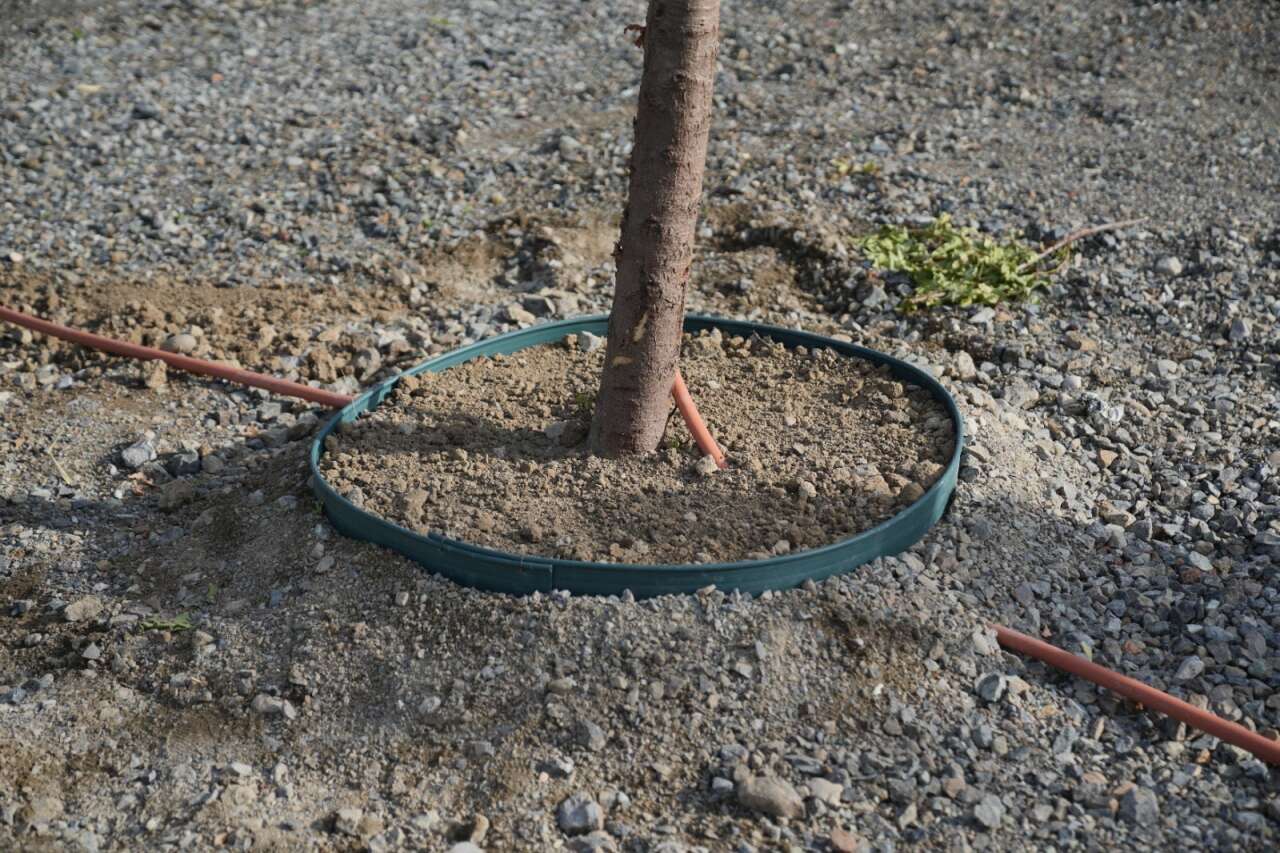Dalaman Kent Park’ta Ağaç Kesme  ve Betonlaşma İddialarına Başkan Durmuş’tan Yanıt 1