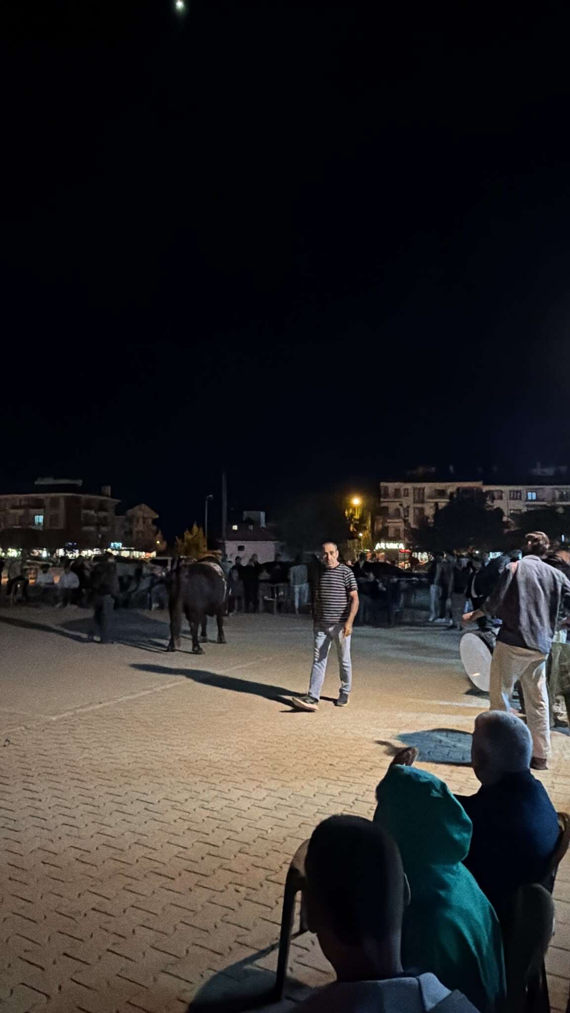 Kötekli Sokaklarında Boğa Sürprizi Öğrencileri Şaşırttı 1