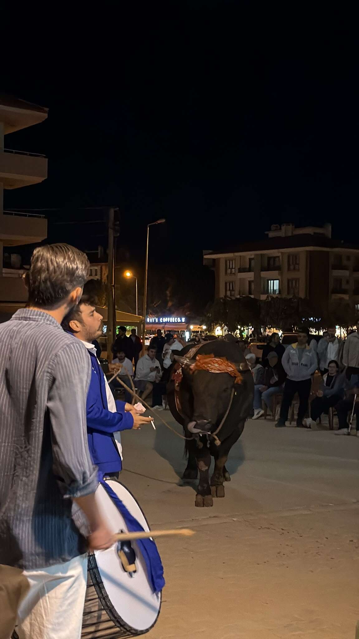 Kötekli Sokaklarında Boğa Sürprizi Öğrencileri Şaşırttı 2