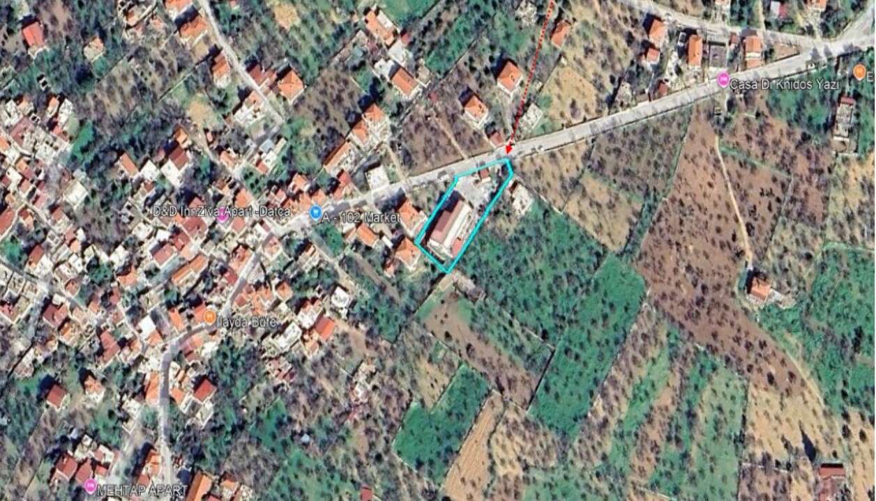 Datça’da Zeytinyağı Üretimine 54 Milyon TL’lik Yatırım 3