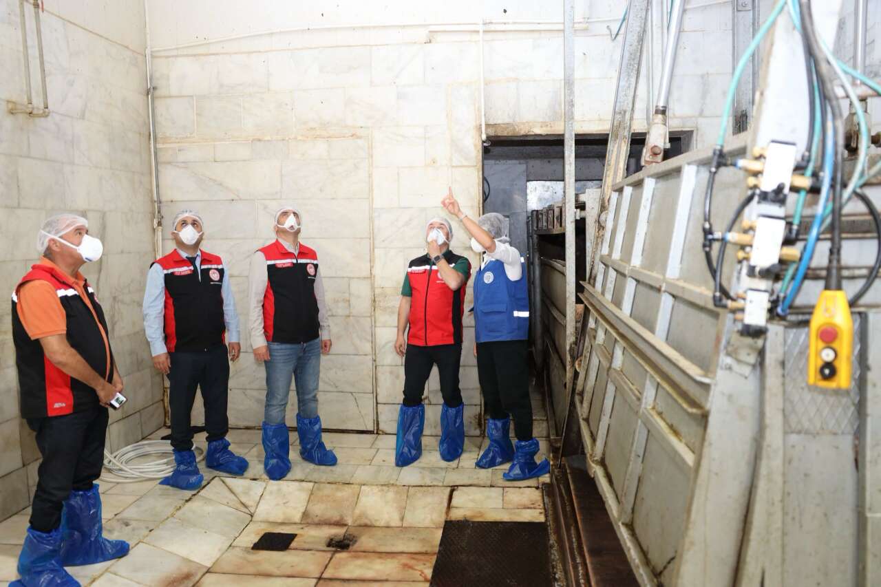 Muğla’da Et Güvenliği İçin Denetim: Menteşe Mezbahası Mercek Altında 3