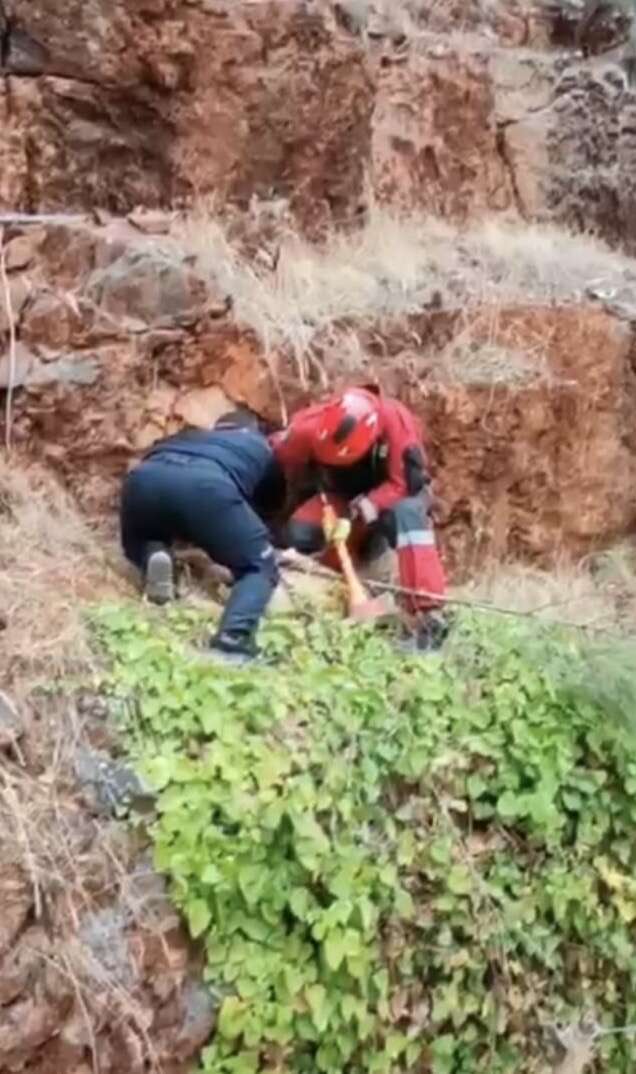 Menteşe'de Kaya Arasında Mahsur Kalan Yavru Kedi, İtfaiyenin Titiz Operasyonuyla Kurtarıldı 1