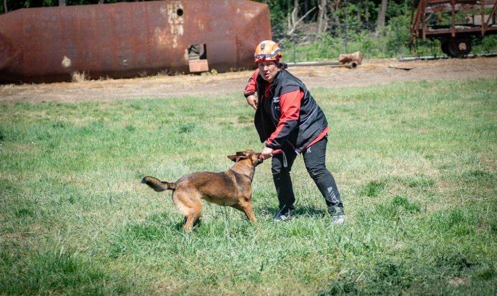Muğla’nın Arama Kurtarma Köpekleri Tayga ve Foxy Sınavları Başarıyla Geçti 2