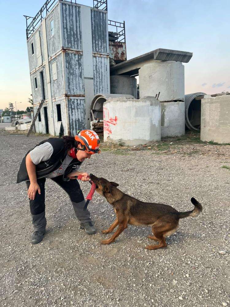 Muğla’nın Arama Kurtarma Köpekleri Tayga ve Foxy Sınavları Başarıyla Geçti 3