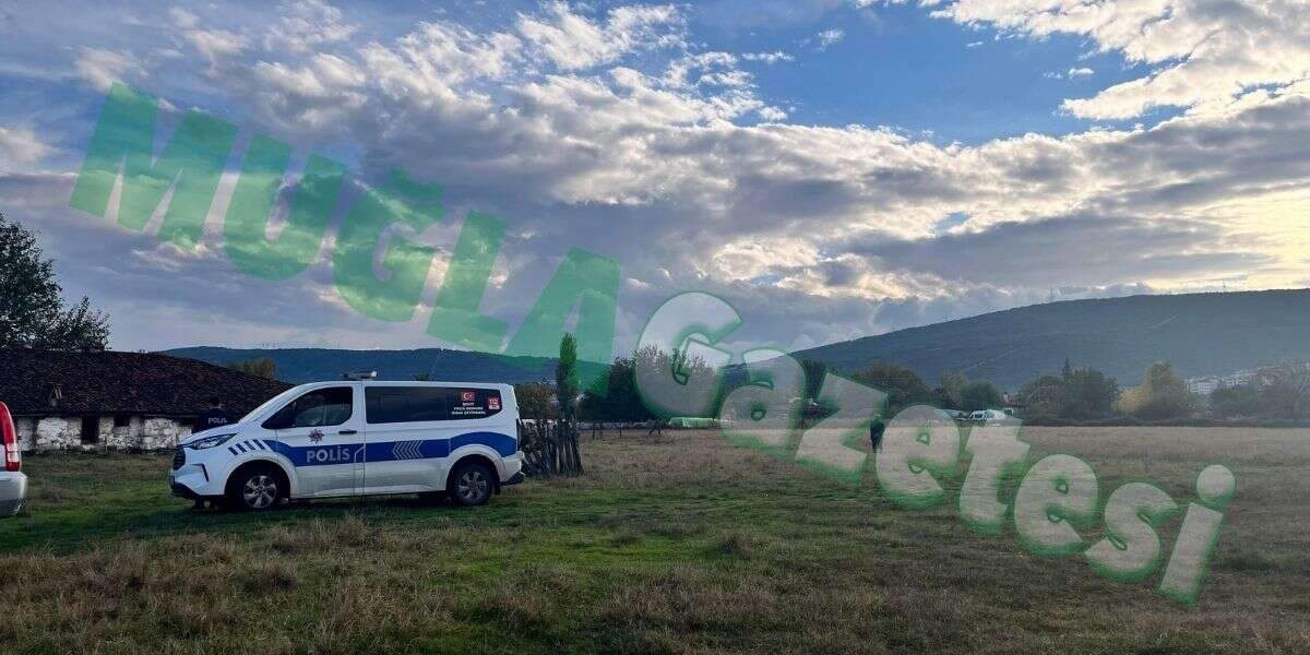 Menteşe'de Köpekler Ağılda Koyunları Parçaladı: Menteşe Belediyesi 1 Saattir Bekleniyor 1