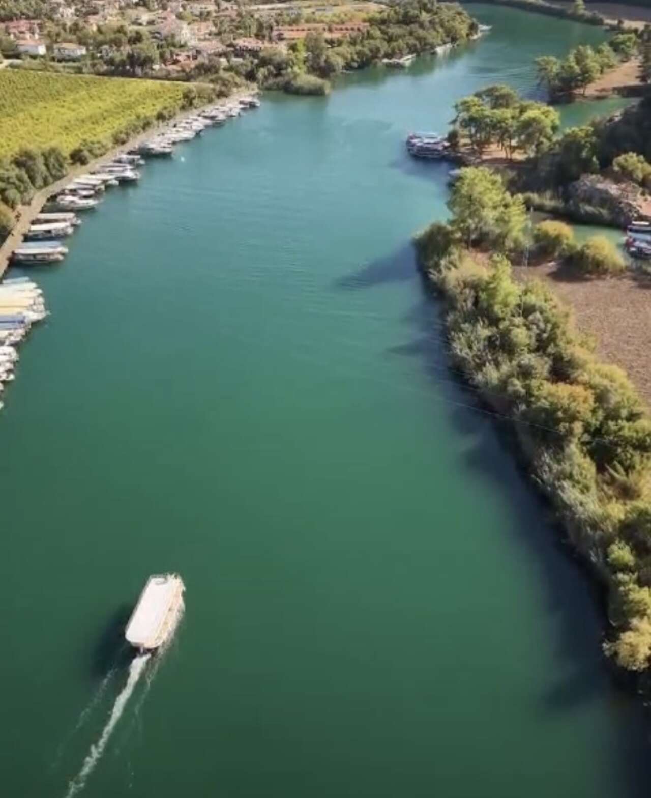 Dalyan’da Elektrikli Tekne Dönemi Başlıyor: 22 Kişiyle 10 Deniz Milini Gördü 1