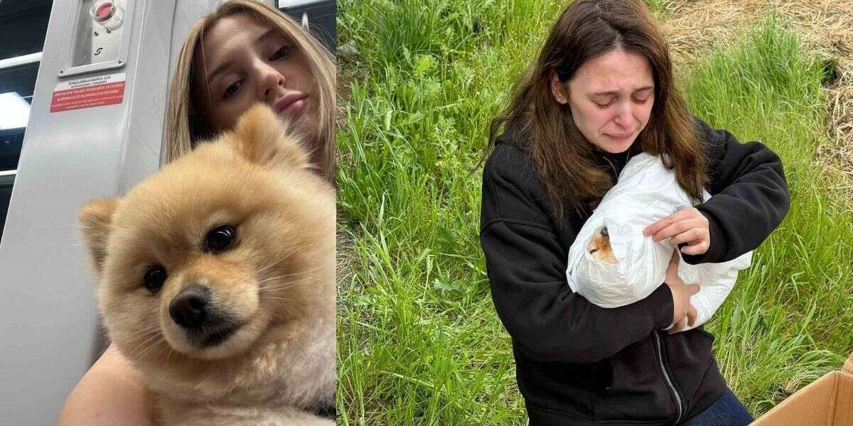 Petshopta Yıkanan Köpeğin İhmal Sonucu Öldüğü İddiası