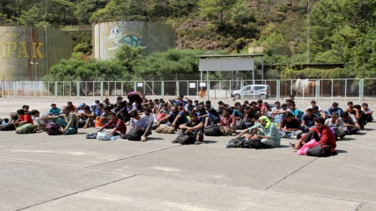 Pakistan uyruklu 73 kaçak göçmen yakalandı