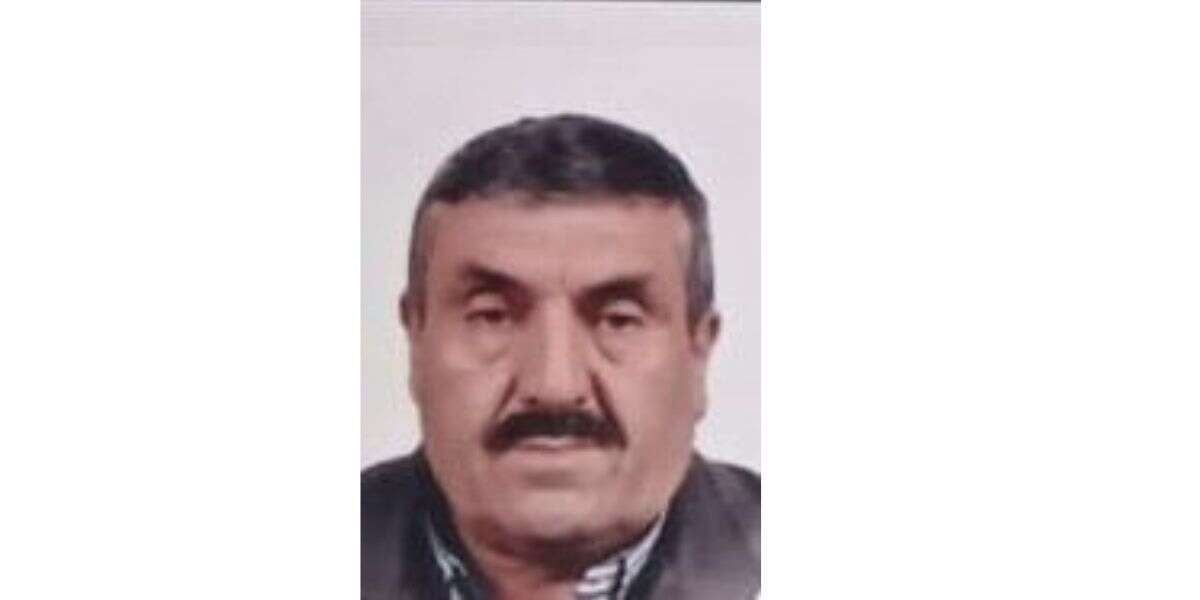 Ağaç Kesimi Sırasında Korkunç Kaza: Yaşlı Adam Hayatını Kaybetti