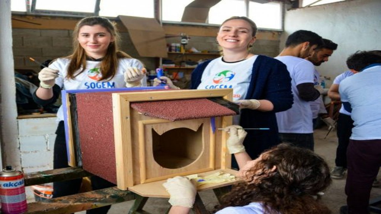 Marangoz atölyesi, 4 yılda yüzde 69 tasarruf sağladı