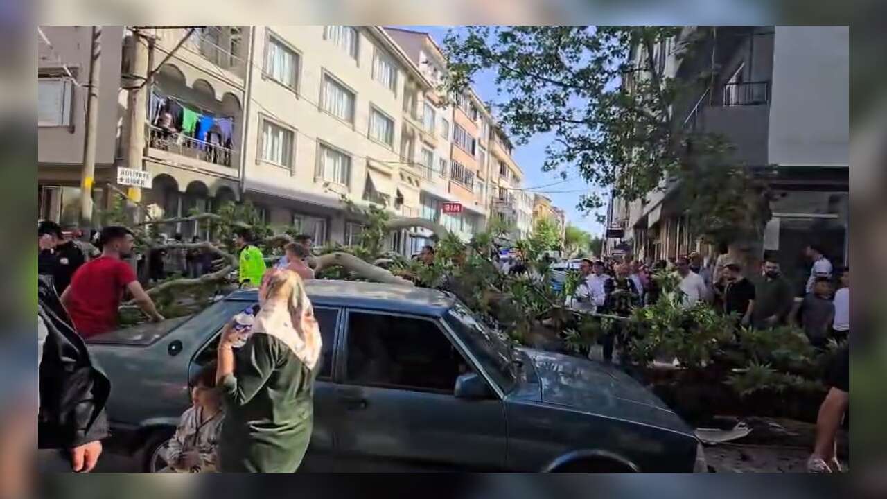 Devrilen Ağacın Altında Kalan Motosiklet Sürücüsü Ağır Yaralandı