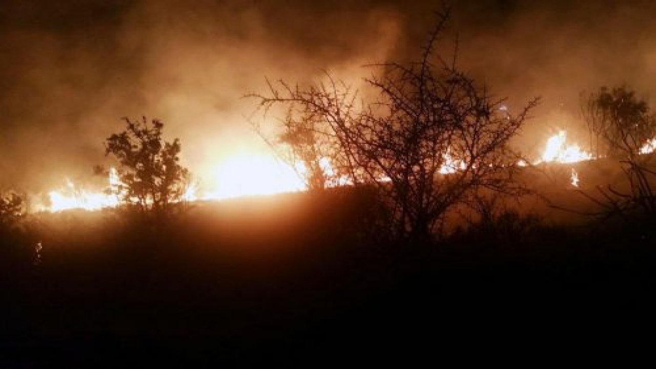 Milas’ta makilik alanda yangın