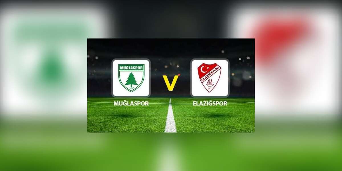 PFDK’dan Muğlaspor ve Elazığspor’a Play-Off Finali Sonrası Ceza