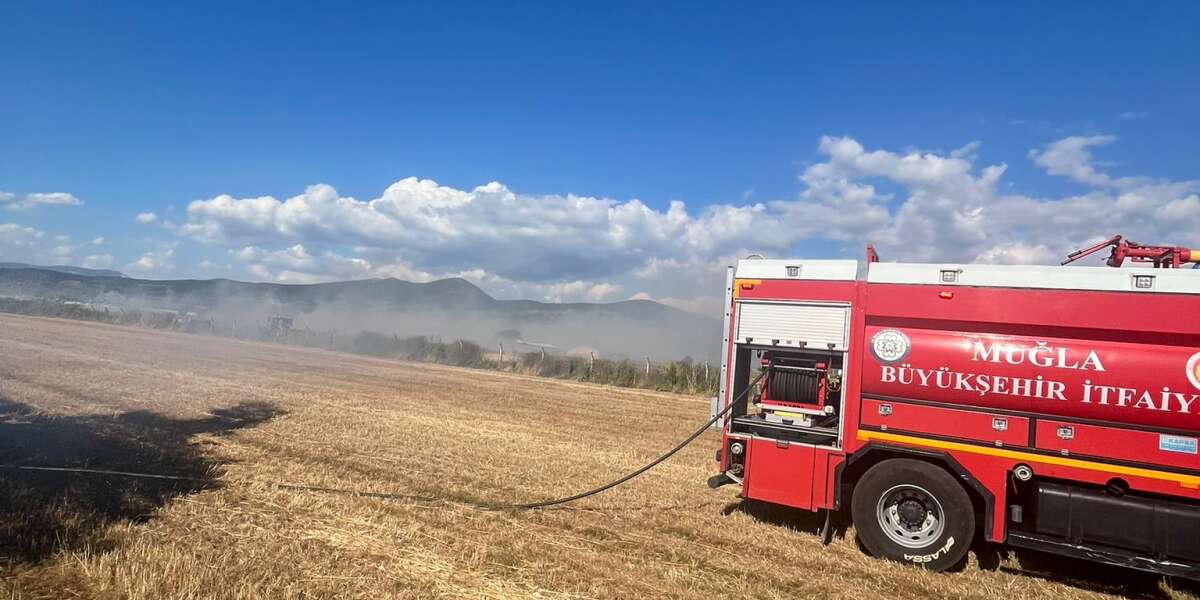 Milas’ta Anız Yangını Korkuttu: İtfaiye Ekipleri Alevleri Büyümeden Söndürdü