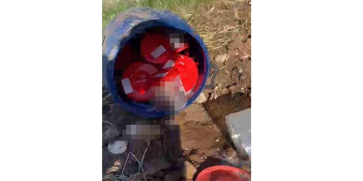 Plastik Kutularda 21 Cenin Tane Bulundu