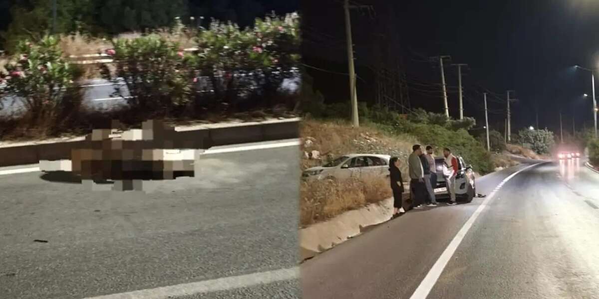 Muğla’da Domuza Çarpmamak İsteyen Sürücü Kaza Yaptı