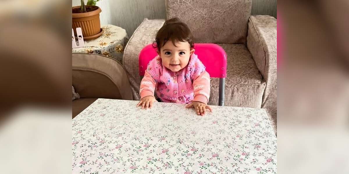 Geri Manevra Yaparken 1.5 Yaşındaki Torununu Ezdi
