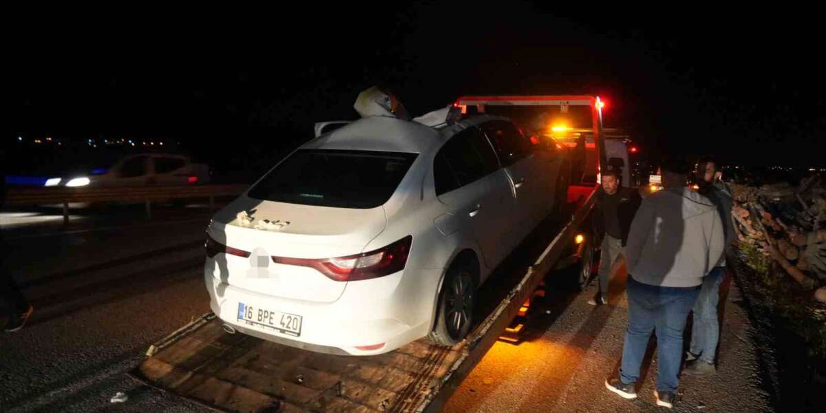 Kara Yolunda Otomobil Ata Çarptı: Çok Sayıda Yaralı Var