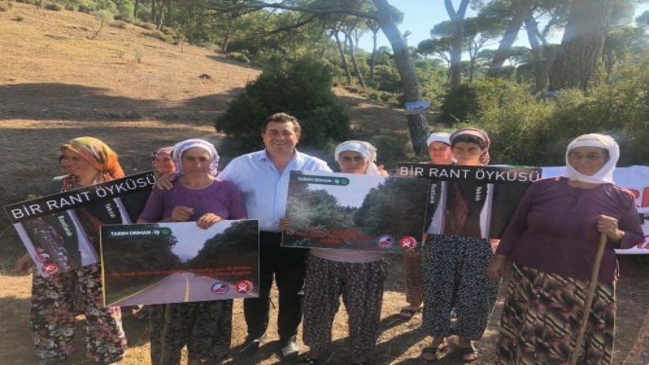 Gökgedik’te Doğa Katliamına Geçit Yok