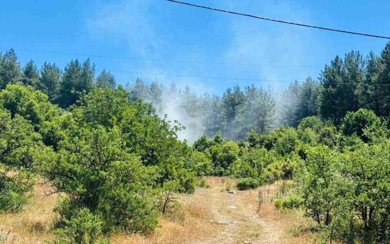 Muğla’da Ormanlık Alanda Yangın: Dumanları Gören Vatandaşlar İhbar Etti