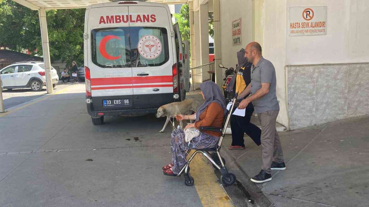 Topladıkları Mantarı Yiyen 7 Kişi Zehirlenme Şüphesiyle Hastaneye Kaldırıldı