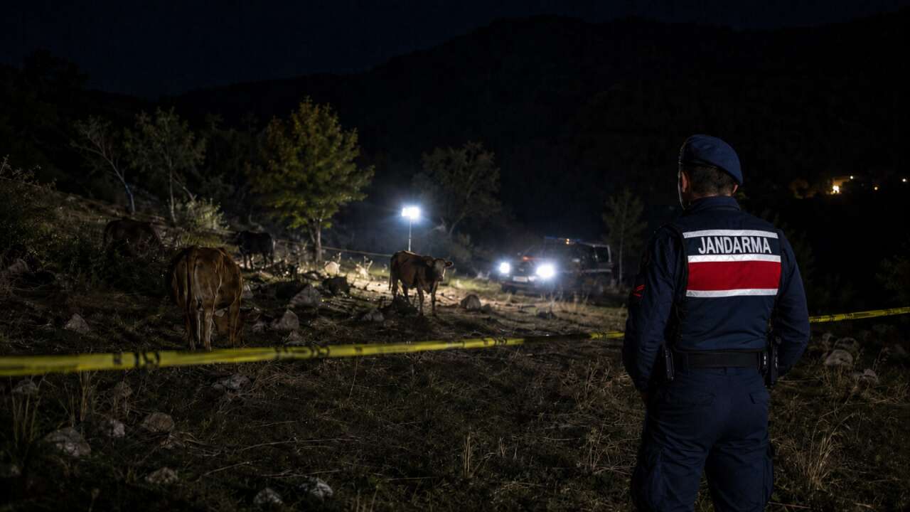 Muğla'da Hayvan Otlatan Yaşlı Adam Hayvan Darbesi Sonucu Hayatını Kaybetti