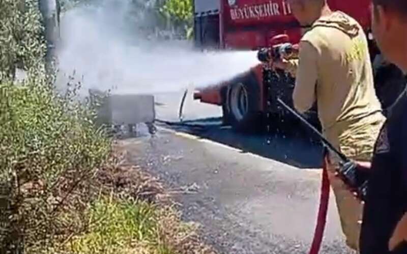 Milas'ta Zeytinlik Alanda Çıkan Yangın Büyümeden Söndürüldü
