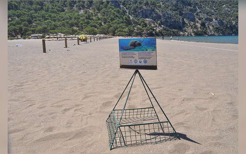 Muğla Sahillerinde Sevindiren Rekor: 100. Caretta Caretta Yuvası Tespit Edildi