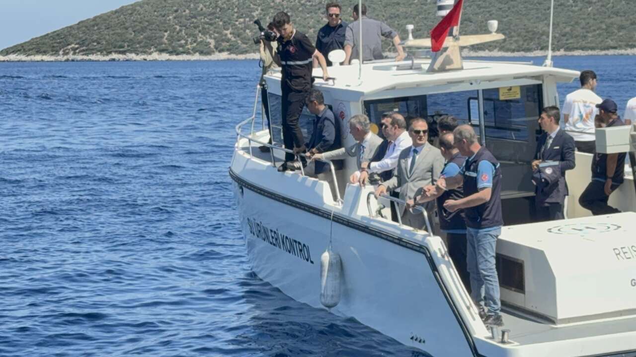 Muğla Valisi Akbıyık'ı Denizde Yunuslar Karşıladı: Hayalet Ağ Temizliğine Renkli Sürpriz