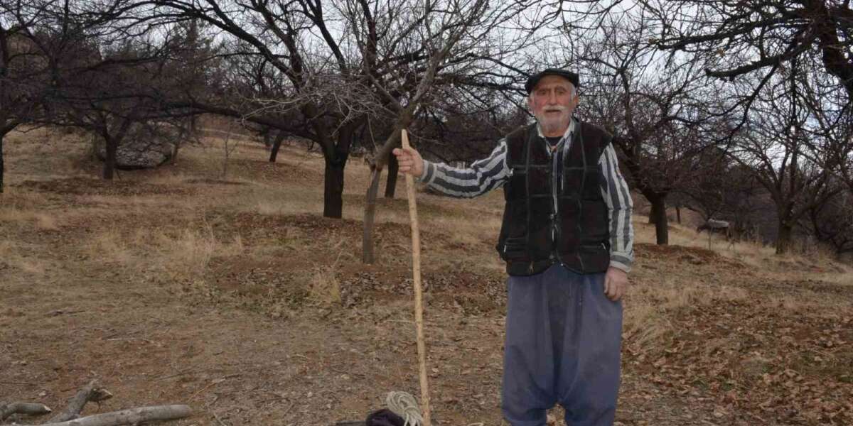 Eşekten Düşen Adam Hayatını Kaybetti