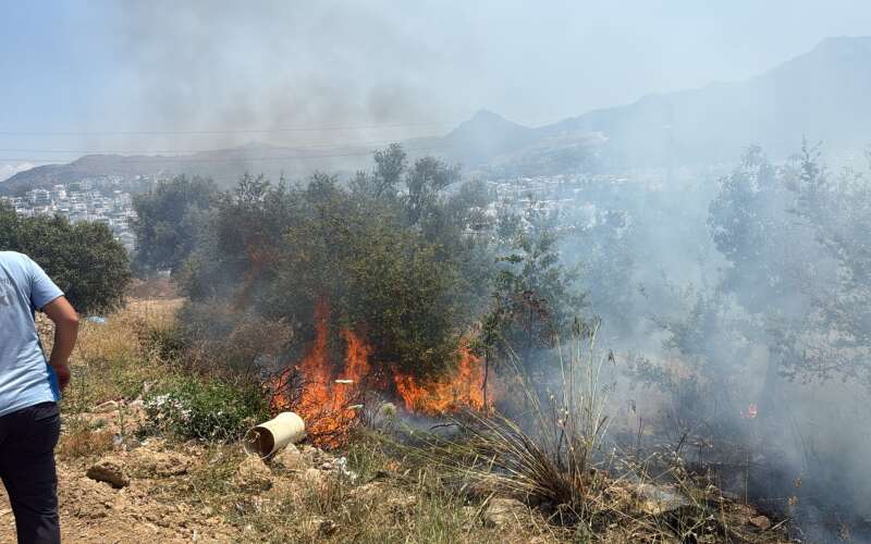 Bodrum’da Makilik Alanda Yangın: Ekipler Alevlere Müdahale Ediyor