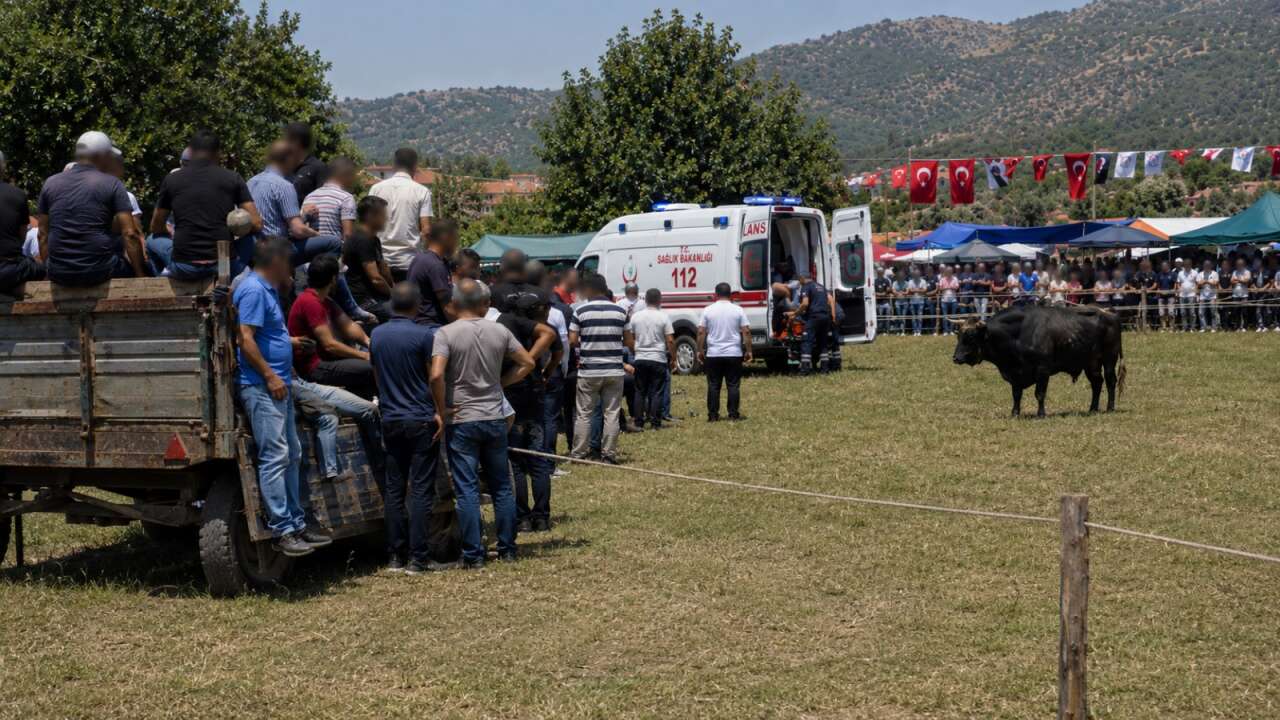 Milas'ta Boğa Güreşi Festivalinde Talihsiz Kaza