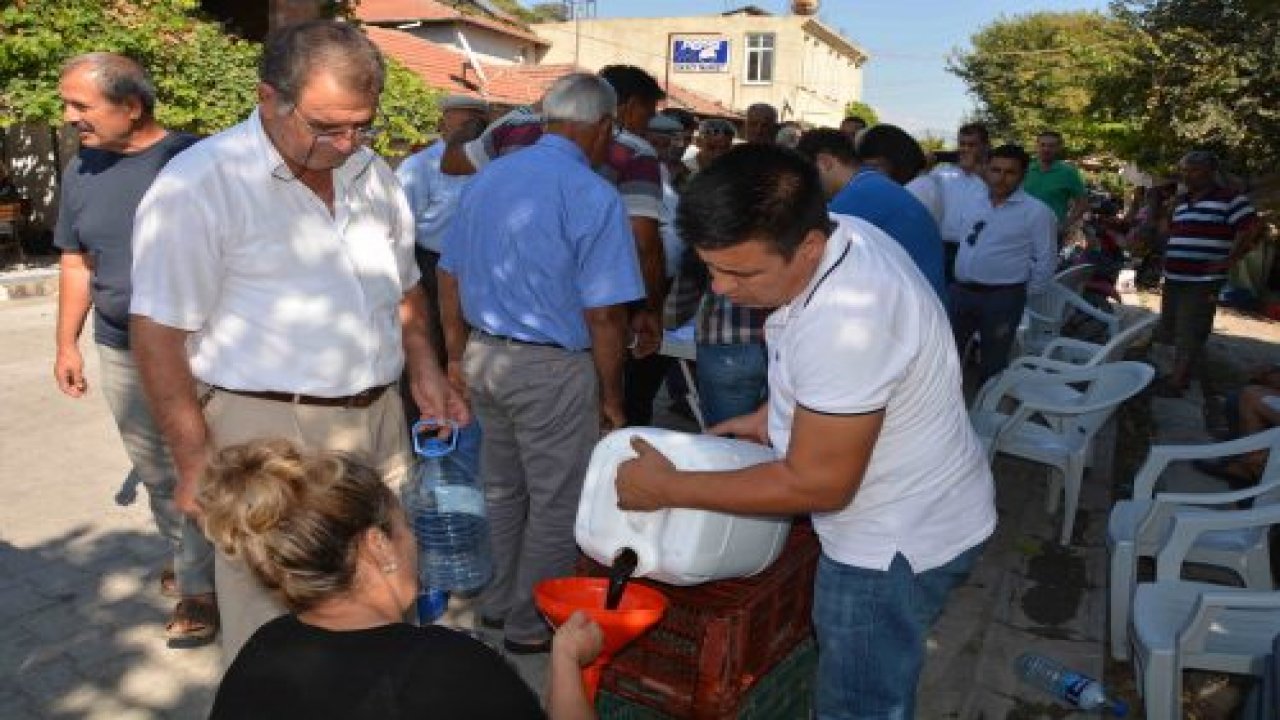 Üreticiye Akdeniz Meyve Sineği ile mücadele desteği