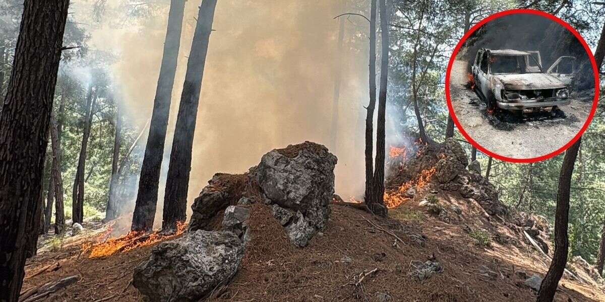 Muğla'da Yanan Araç Ormanı Tutuşdurdu