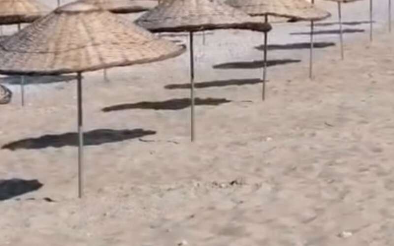 Muğla’da Dünyanın Konuştuğu Plajda Ücretsiz Dönem: