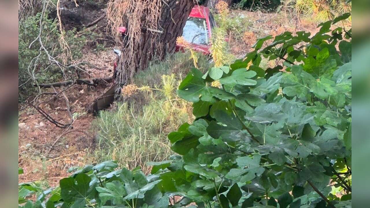 Muğla'da Mucize Kurtuluş