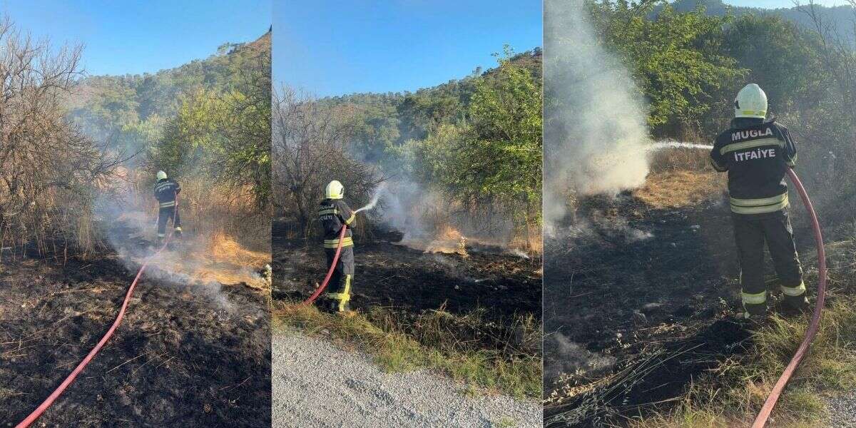 Ortaca'da Ot Yangını: Limon Bahçesi ve Elektrik Panosu Zarar Gördü