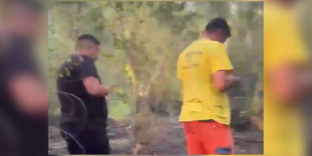 Köyceğiz’de Orman Yangını Ekiplerin Hızlı Müdahalesi ile Kontrol Altına Alındı