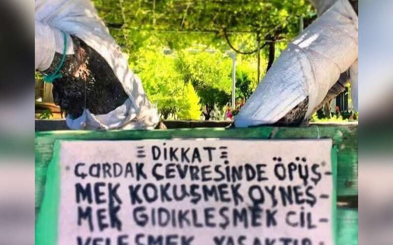 Bodrum Mazı’daki Bu Levha Sosyal Medyada Gündem Oldu: “Öpüşmek, Gıdıklaşmak Yasaktır”