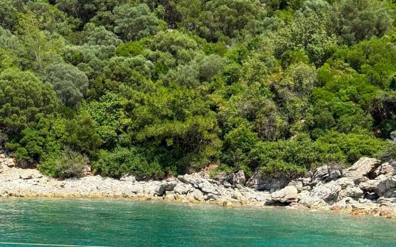 Marmaris Kumlubük'te Doğa Katliamı İddiası: Yetkililer Harekete Geçti, İş Makinesiyle Yapılan Çalışma Durduruldu