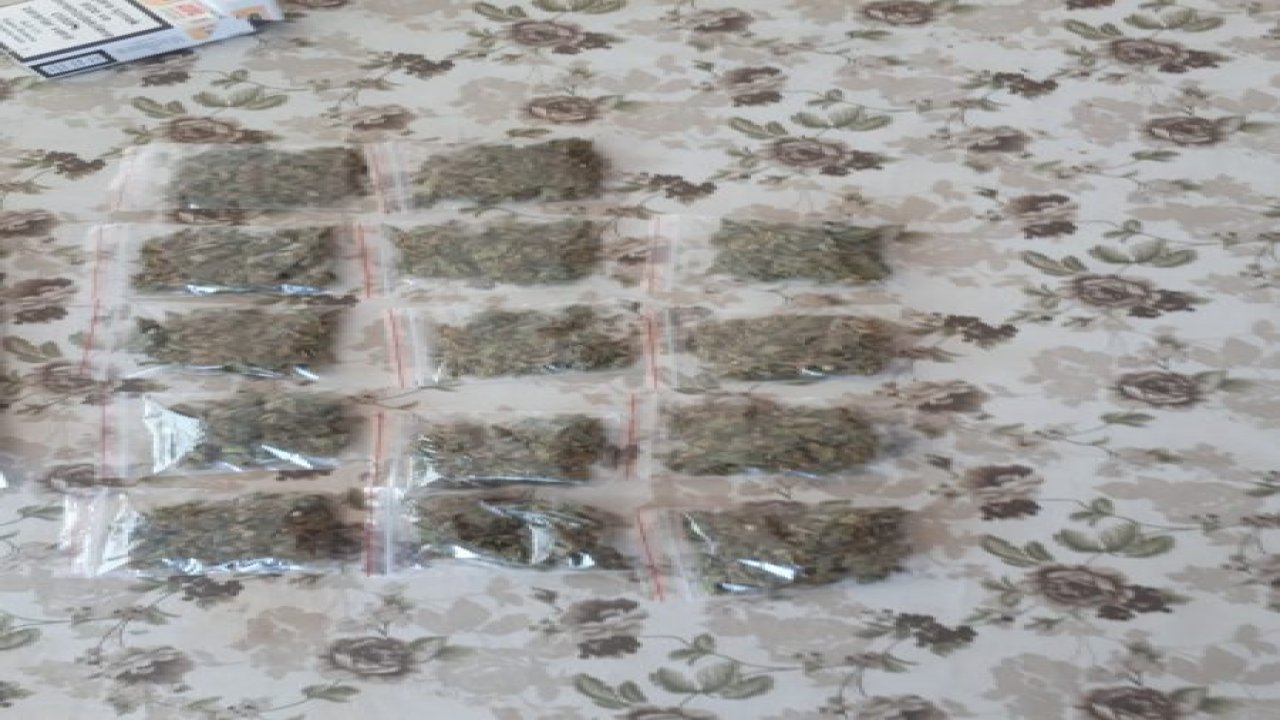 Güvenlik görevlisi torbacı çıktı