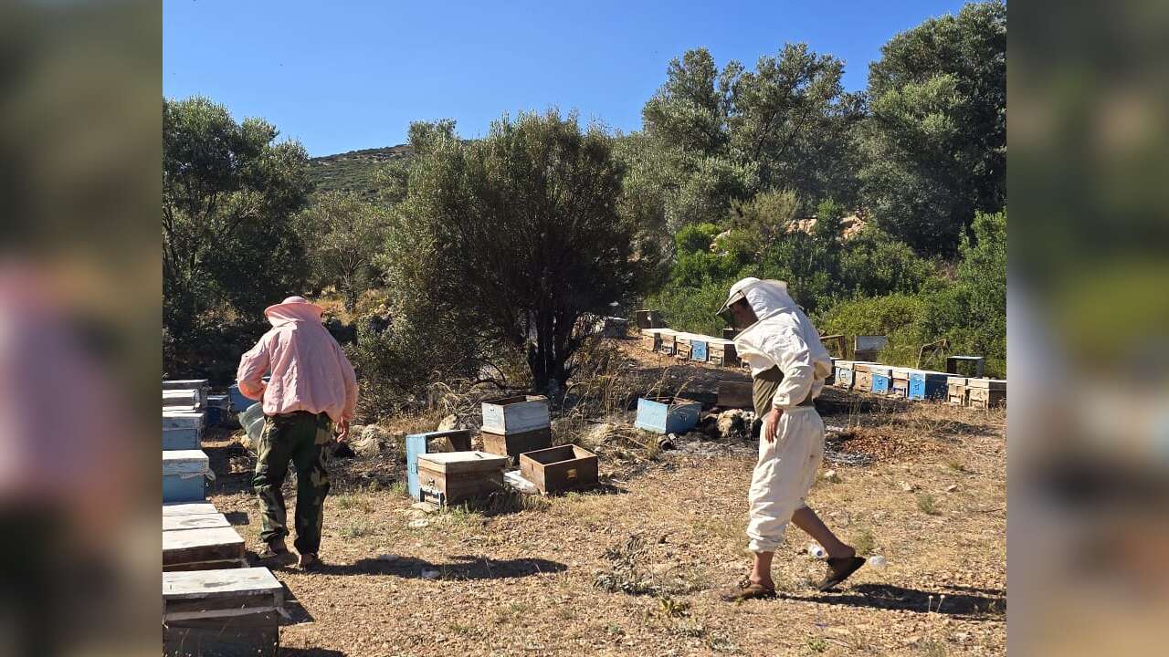 Datça'da Çıkan Orman Yangını Hızlı Müdahaleyle Kontrol Altına Alındı