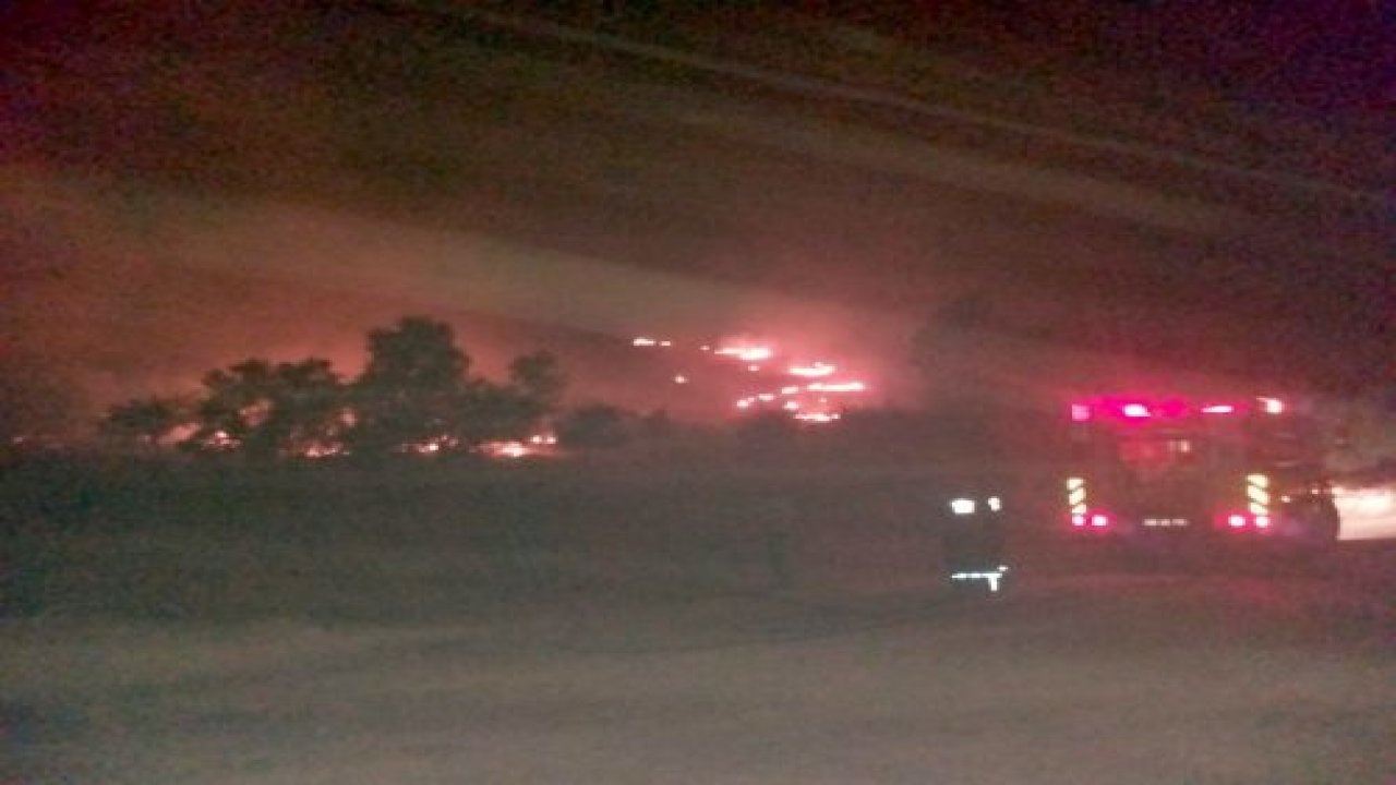 Milas’ta orman yangını